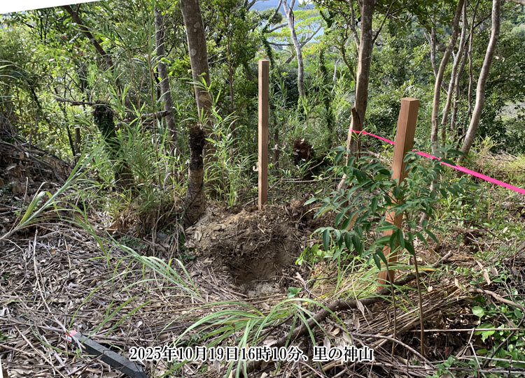 ��_�΂�[�߂�ꏊ