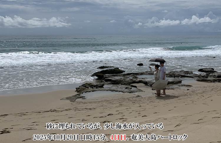 �Ւd�𗧂Ă�ڈ�