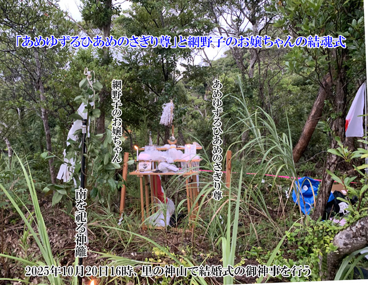 �_�R�Ō������̌�_�����s��