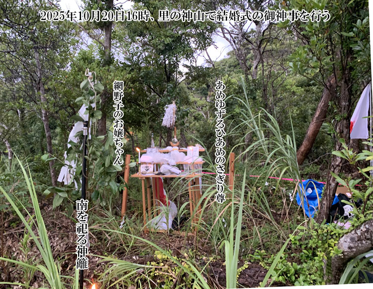 �_�R�Ō������̌�_�����s��