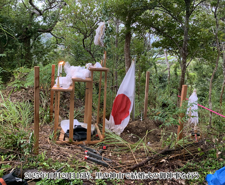 �_�R�Ō������̌�_�����s��