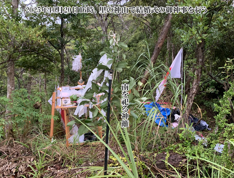 �_�R�Ō������̌�_�����s��