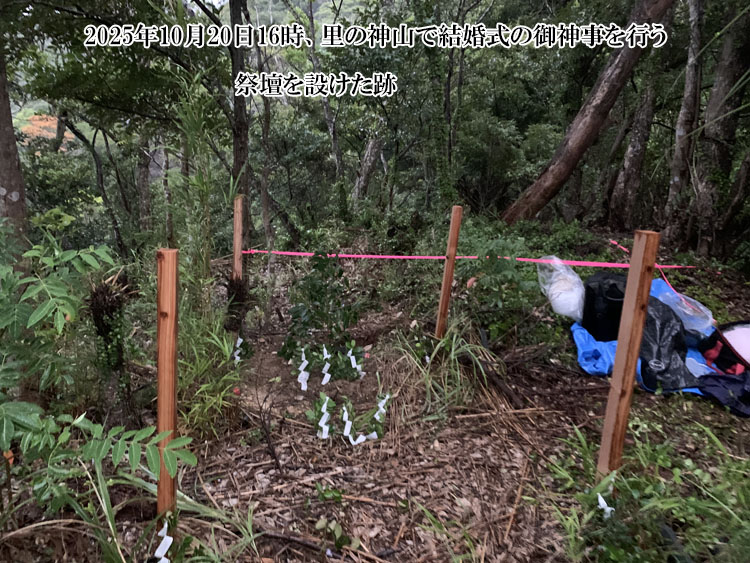 �_�R�Ō������̌�_�����s��