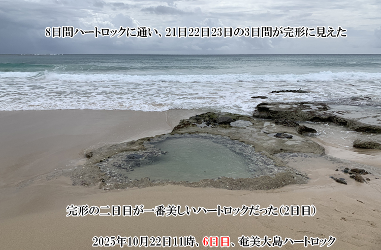 ��Ԕ������n�[�g���b�N