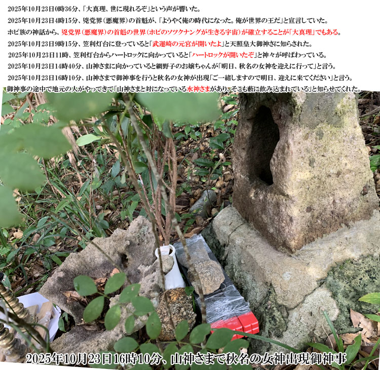 �R�_����