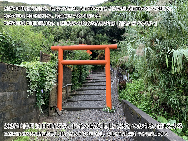 3�{�Z�b�g�̋ʋ���5�����ɔz�u����