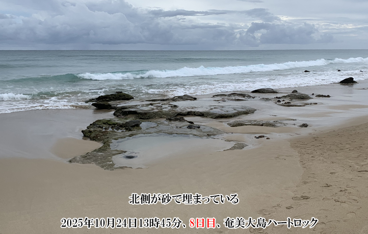 �H���̏��_���n�[�g���b�N�ɘA��Ă���