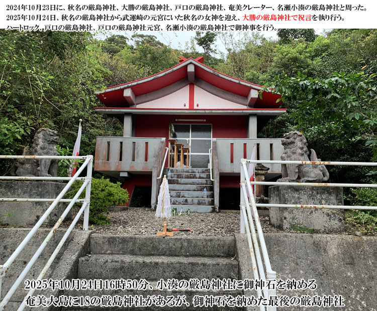 ���������̌����_��