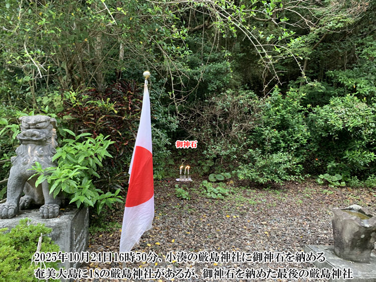 ���������̌����_��