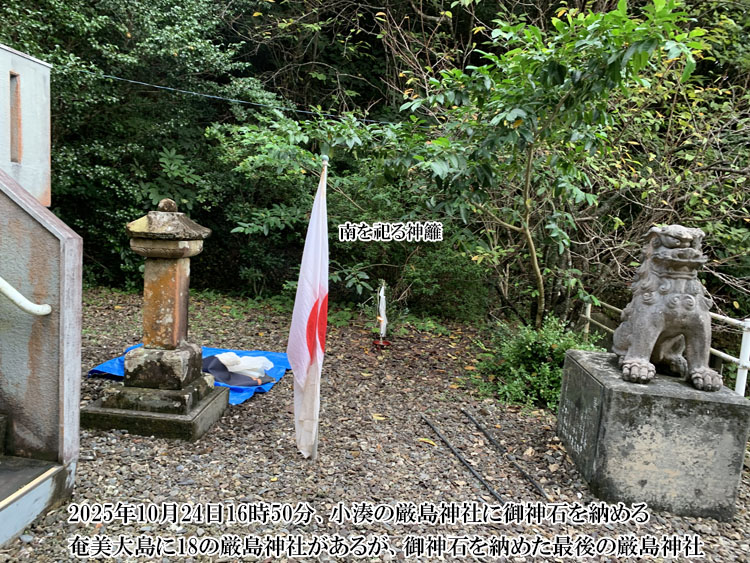 ���������̌����_��