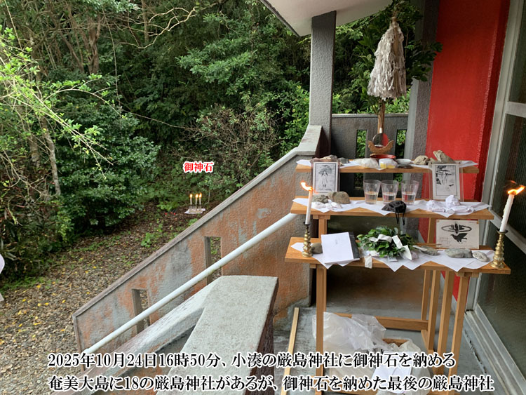 ���������̌����_��