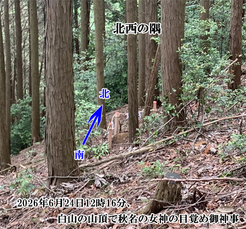北西の隅