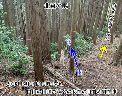 北東の隅