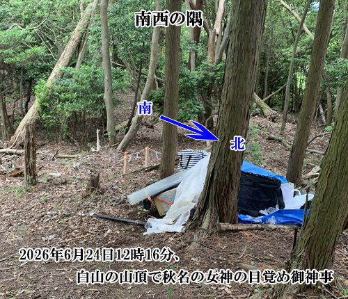 南西の隅