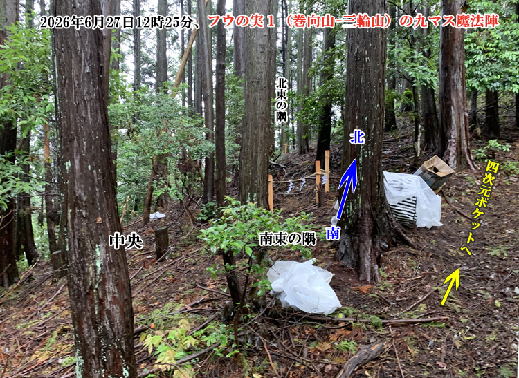 フウの実1(地点5)の北東の隅