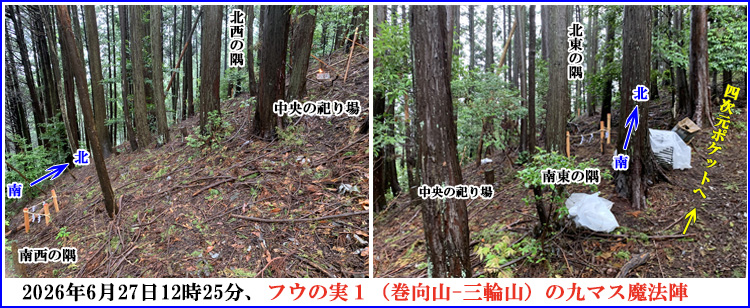 フウの実1(地点5)の北東の隅