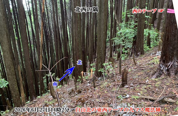 北西の隅