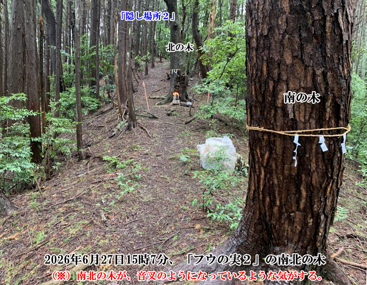 フウの実2の南北の木での御神事
