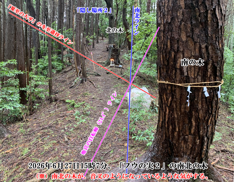 フウの実2の南北の木での御神事